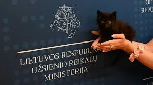 У МЗС Литви зʼявився новий співробітник – кошеня Ранґо