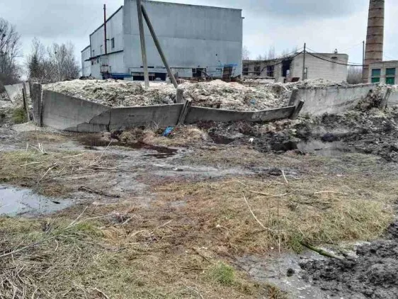 Директор ветсанзаводу, що в Ковелі, піде під суд