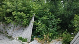 Будівельника змусили прибрати "джунглі" на Драгоманова в Луцьку (фото)