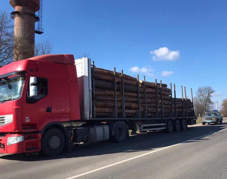 В Любомлі затримали вантажівку із незаконною лісопродукцією. ФОТО