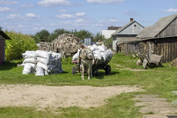 Черемошне на Ковельщині: село без роботи, але з бібліотекою, що тримає життя (відео)