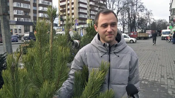 У Луцьку серед продавців «святкових» дерев шукали порушників