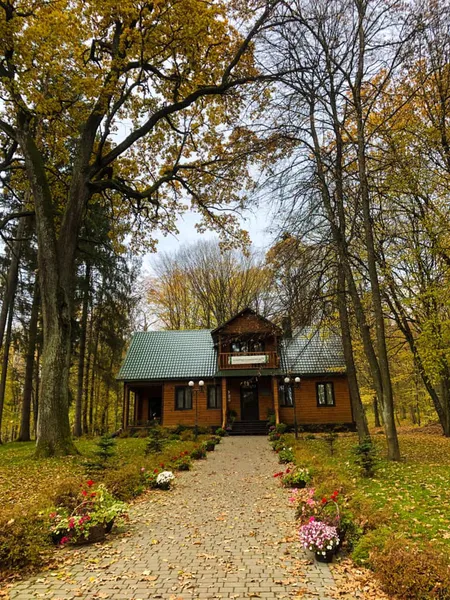 Показали чарівну осінь у Воротнівському лісництві (фото)