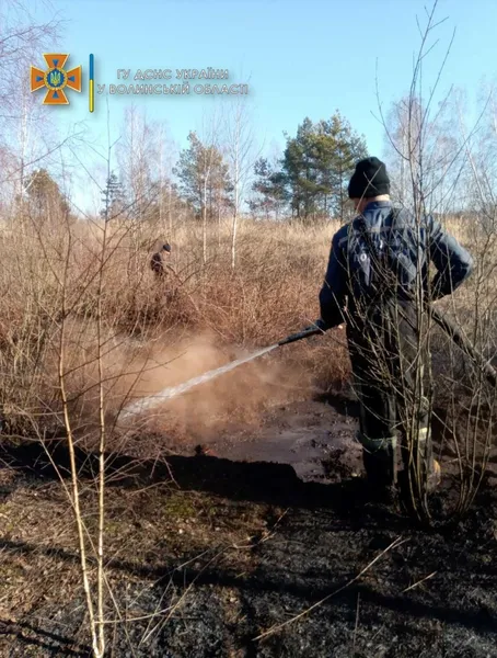 На Волині невідомі підпалили торф’яник (фото)