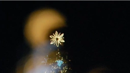 Барвистий Луцьк: фотохудожник показав магію різдвяних вечорів (фото)