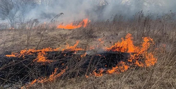 У Луцькому районі горів майже гектар сухої трави і чагарників