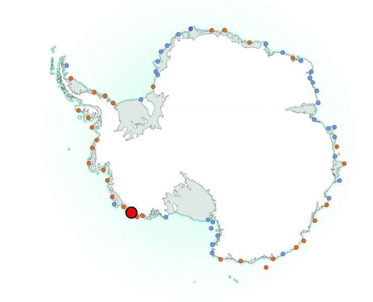 В Антарктиді вчені знайшли нову колонію імператорських пінгвінів