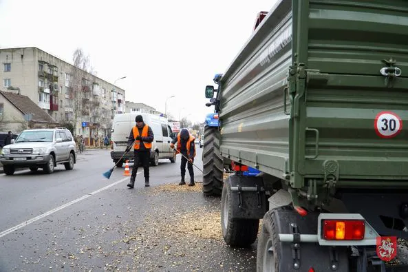 У Володимирі на Ковельській кронують дерева (фото)