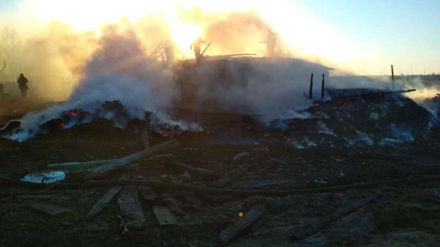 На Волині діти підпалили господарські будівлі (фото)