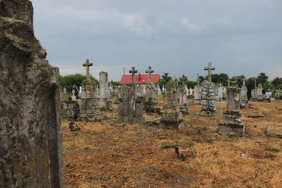 Кіт і могили забутих дітей: (не) містична прогулянка липинським цвинтарем (фото)