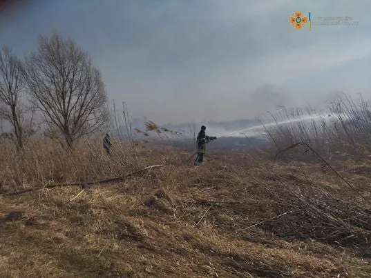 За вихідні на Волині сталося вісім пожеж на відкритих територіях