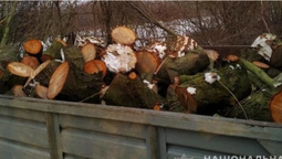 Навантажений ГАЗ: у Луцькому районі незаконно рубали ліс (фото)