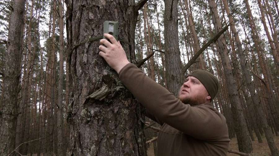 Демобілізований боєць 100-ї бригади з Волині повернувся на роботу в лісове господарство (відео)