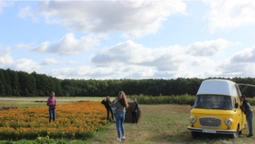 У «Волинській Голландії» розпочали фестиваль осінніх квітів (фото, відео)