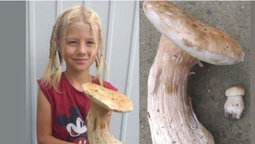 На Волині маленька дівчинка знайшла велетенський гриб (фото)