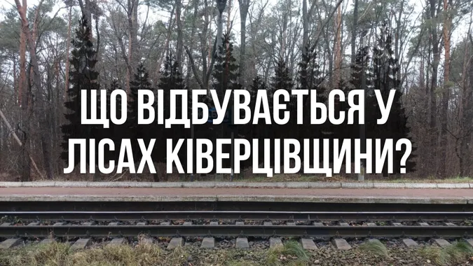 У лісах під Луцьком активіст здійняв ґвалт: що там коїться