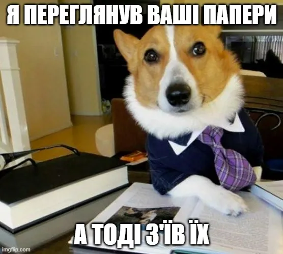 День юриста: історія свята і меми