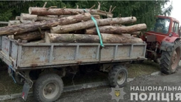 На Волині знайшли трактор, навантажений деревиною (фото)