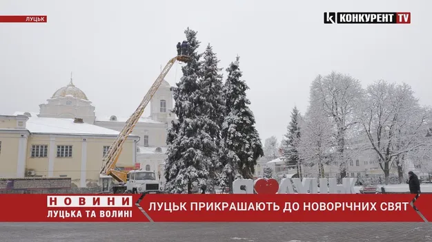 Біля «Променя» у Луцьку вже встановлюють ялинку: яка вона буде (фото, відео)