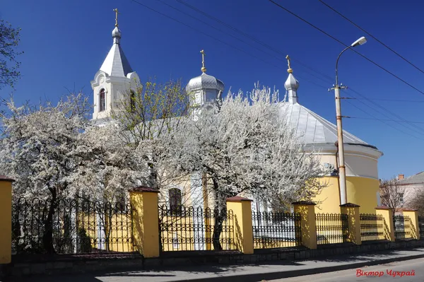 Вербна неділя у Луцьку на фото Віктора Чухрая