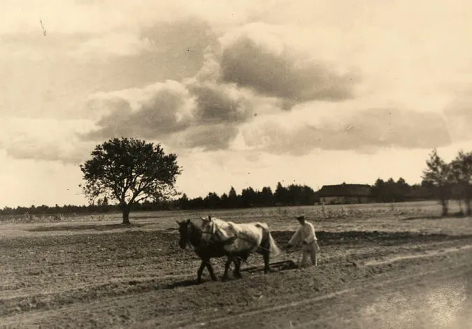 Люди, побут, краєвиди: автентична Волинь на світлинах 100 років тому (фото)