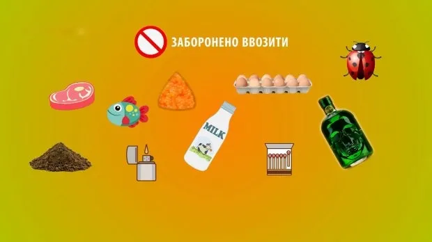 Які товари не можна везти за кордон  (інфографіка)