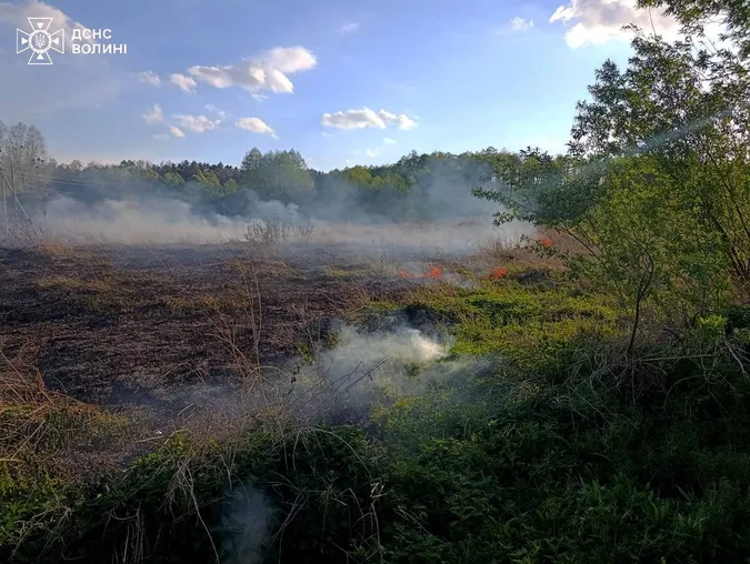 На Волині горіли суха трава і торф (фото)