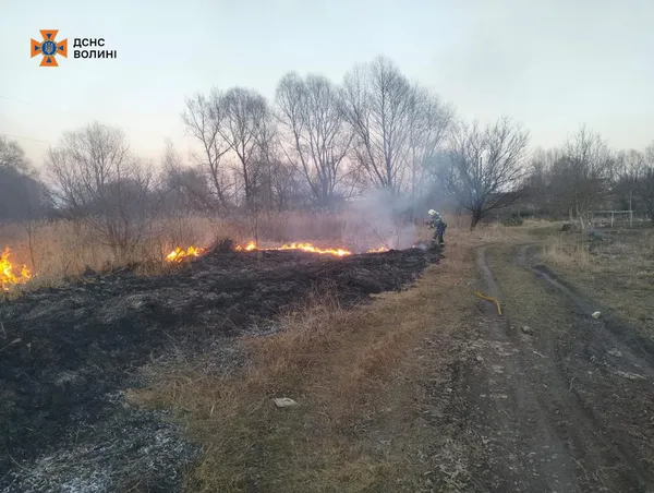 Вогонь знищує гектари: на Волині палають поля та очерет (фото)