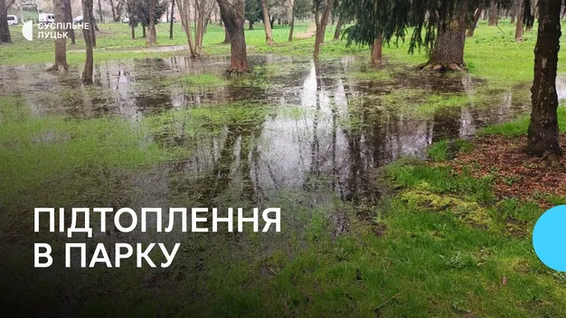 У Луцьку затопило чверть території центрального парку (відео)