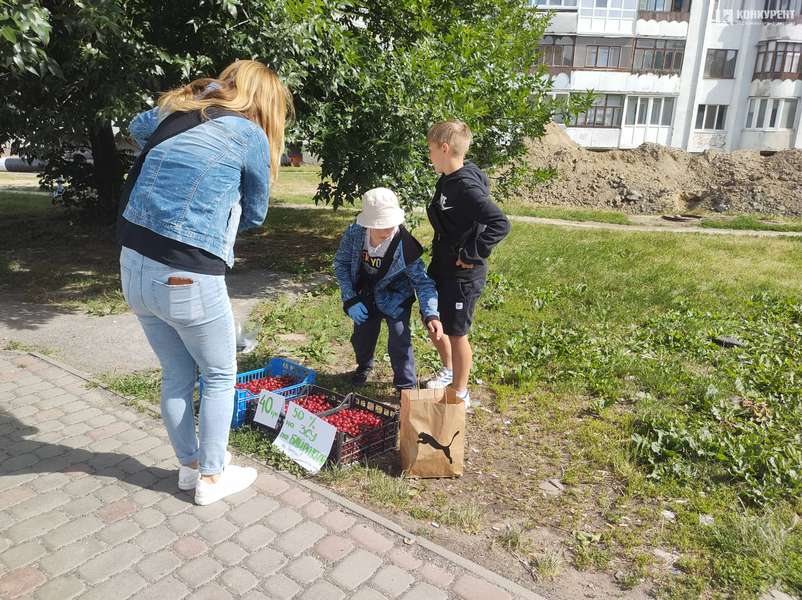 У Луцьку діти продають черешні, щоб купити «Байрактар» для захисників (фото)