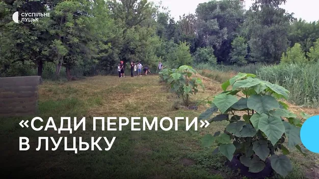 У Луцьку облаштовують другий міський город (відео)