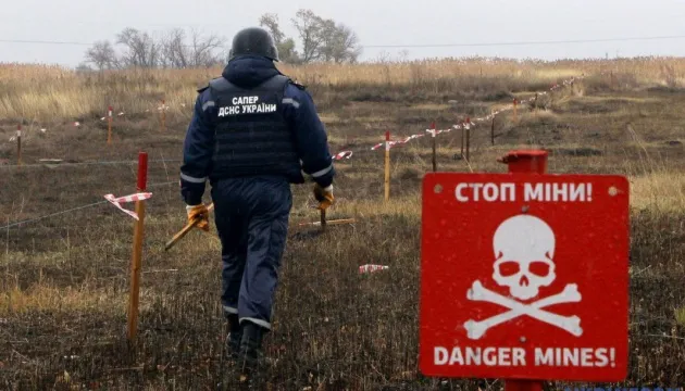 Розмінування України може тривати від 5 до 10 років