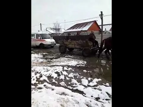 На Закарпатті коні тягнули «швидку» з пацієнтом (відео)