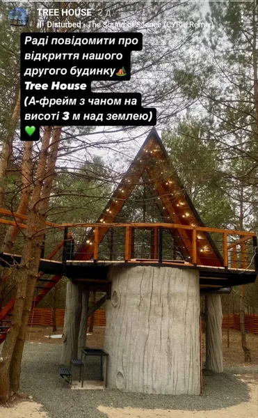 Біля Луцька відкрили будиночок на дереві: скільки коштує заночувати