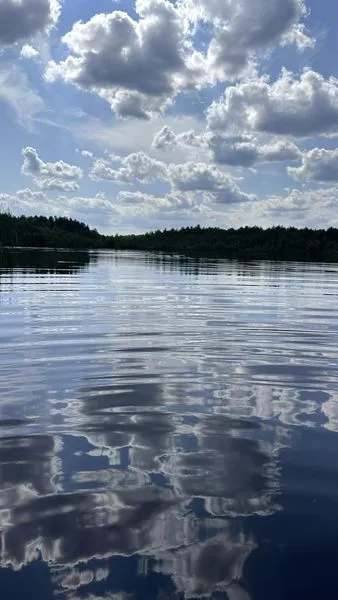 На Волині серед лісів заховалося неглибоке озеро з теплою водою (фото)