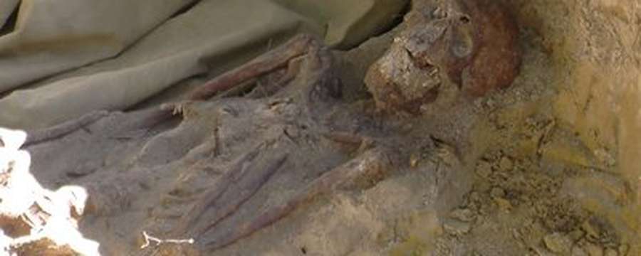 Копав траншею – знайшов скелети: на подвір'ї волинянина поховані солдати Другої світової (відео)