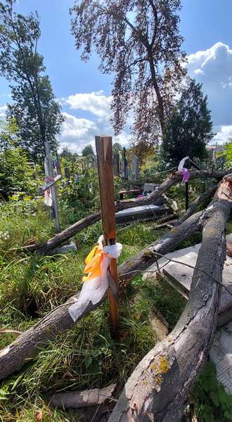 Зруйновані надгробки: у Володимирі сильний вітер повалив дерево на кладовиші (фото)