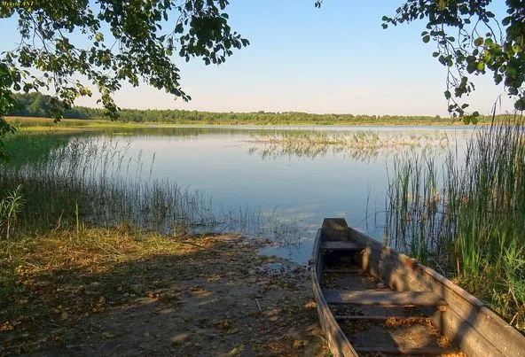 Багато птахів і риби: недалеко від Світязя є невелике озеро з теплою водою (фото)