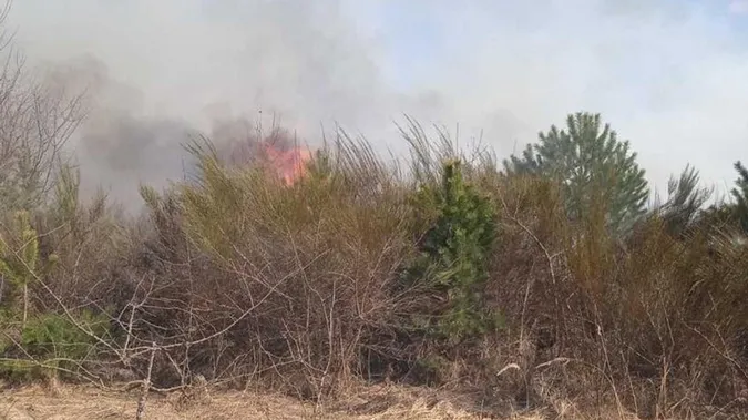 На Волині сталось одразу кілька пожеж в екосистемі
