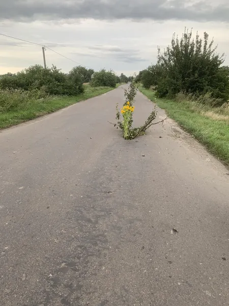 Провалля на волинській дорозі: дорожників просять усунути проблему (фото)