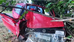 У Луцькому районі Volkswagen протаранив дерево – постраждала пасажирка (фото)