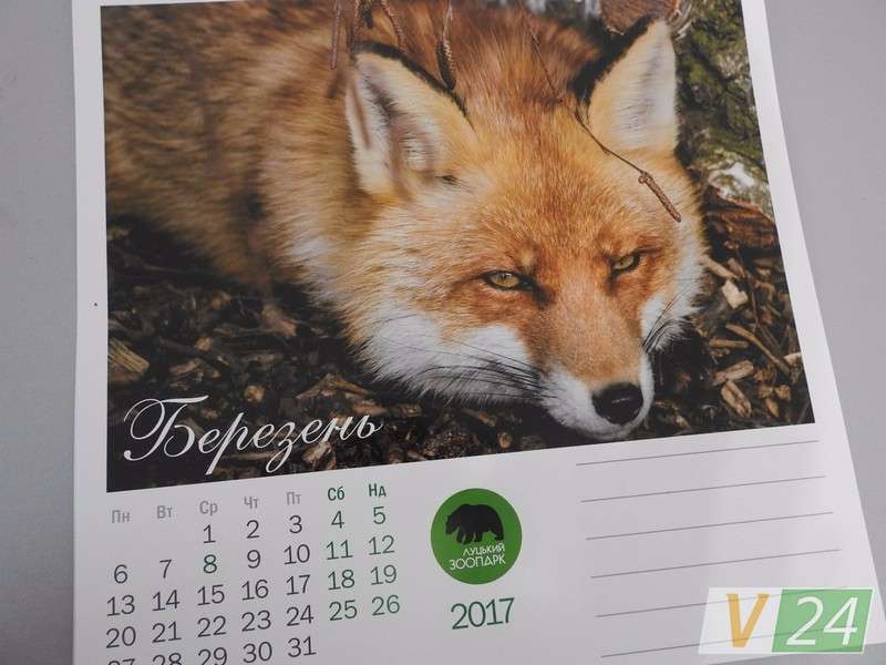 «Луцький зоопарк» видав календар зі світлинами своїх мешканців (фото)