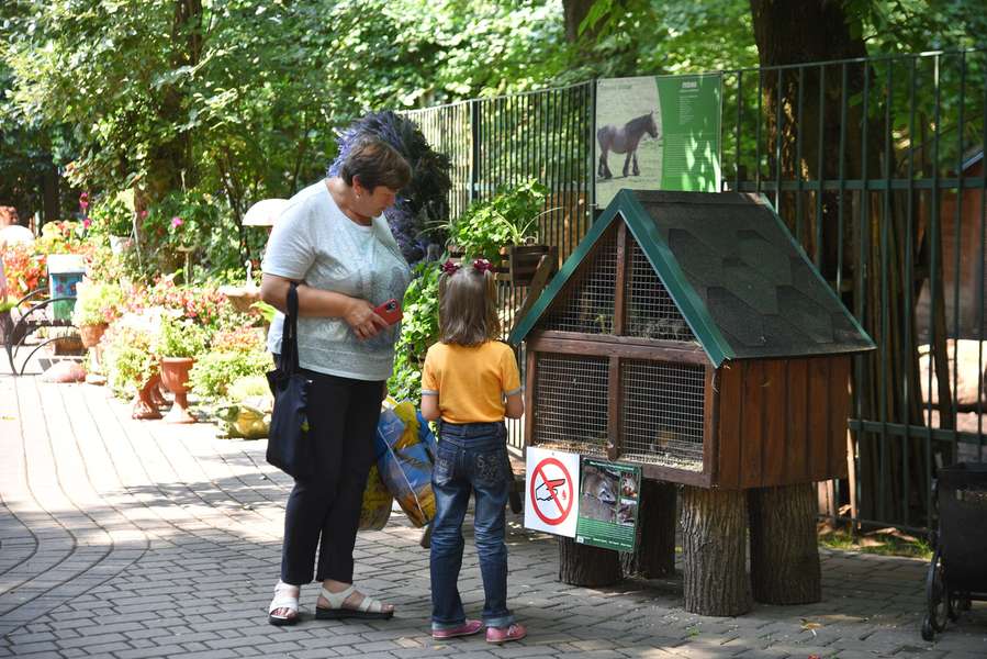 У Луцькому зоопарку «зловили» на камеру відвідувачів та сезонне озеленіння (фото)