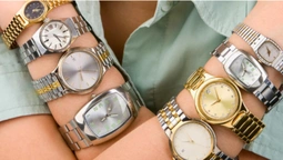 У Луцьку з магазина вкрали годинників на мільйон гривень