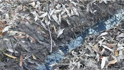 Лучанка зливала нечистоти в канали центрального парку (фото)