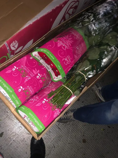 Підприємець намагався провезти через «Ягодин» понад шість тонн свіжих квітів (фото)
