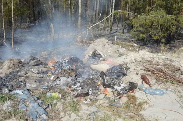 Отруйний дим, спалені поля і ліс: на Волині підпалили два смітники (фото, відео)
