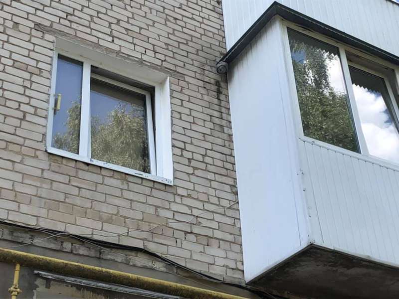 У Володимирі на стіні 5-поверхівки оселився рій бджіл (фото)