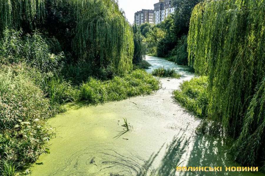 «Бог мене любить»: у Луцьку на березі річки живе безхатько-філософ (фото)