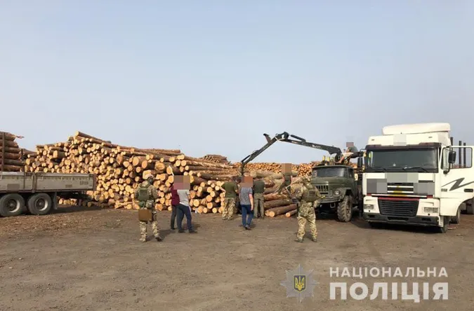 На волинському підприємстві знайшли 1200 кубів «лівої» деревини (фото)